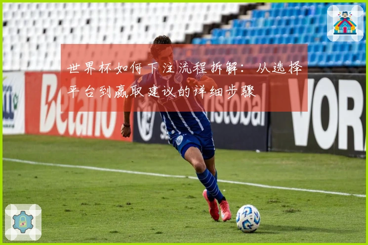 世界杯如何下注流程拆解：从选择平台到赢取建议的详细步骤