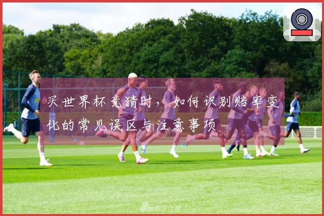 买世界杯竞猜时，如何识别赔率变化的常见误区与注意事项