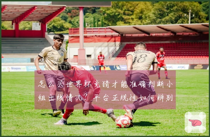 怎么买世界杯竞猜才能准确判断小组出线情况？平台正规性如何辨别