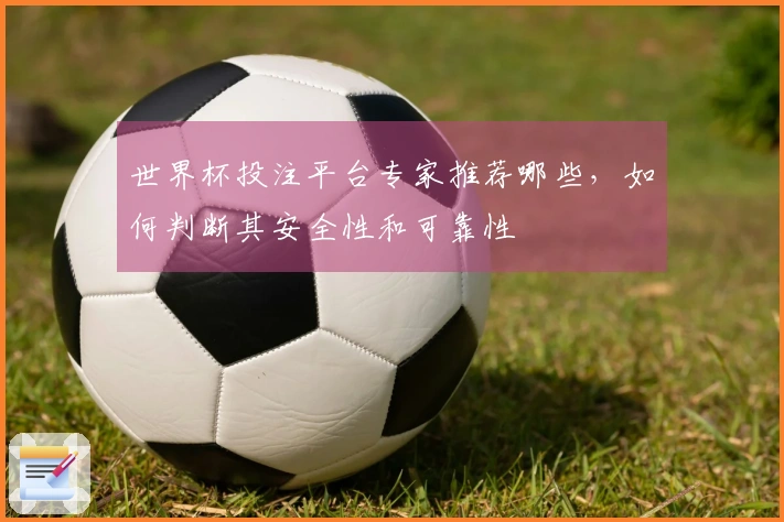 世界杯投注平台专家推荐哪些，如何判断其安全性和可靠性