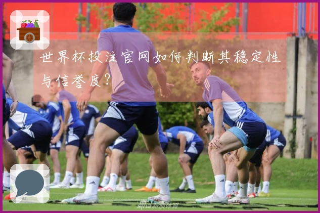 世界杯投注官网如何判断其稳定性与信誉度？